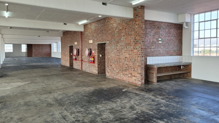 To Let commercial Property for Rent in Diep River Western Cape